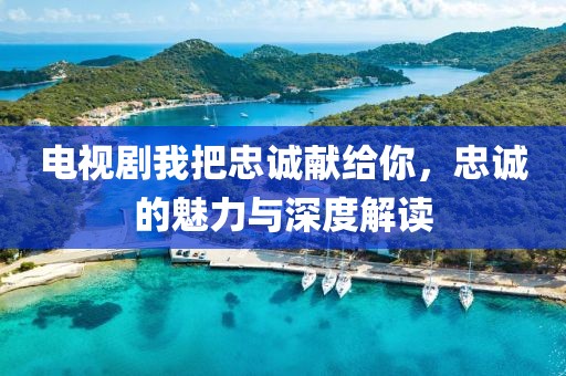 电视剧我把忠诚献给你，忠诚的魅力与深度解读