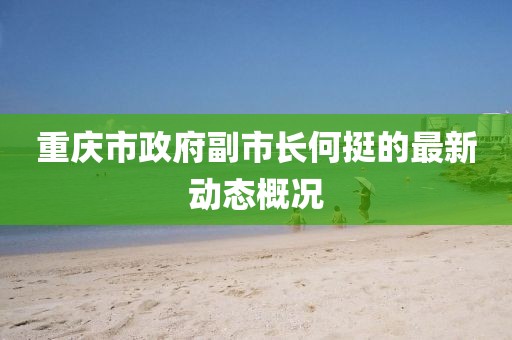 重庆市政府副市长何挺的最新动态概况