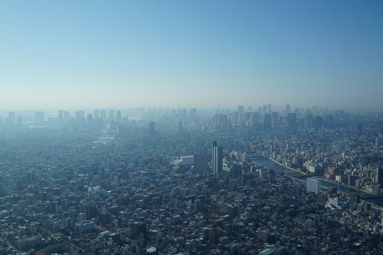 2025年1月 第237页