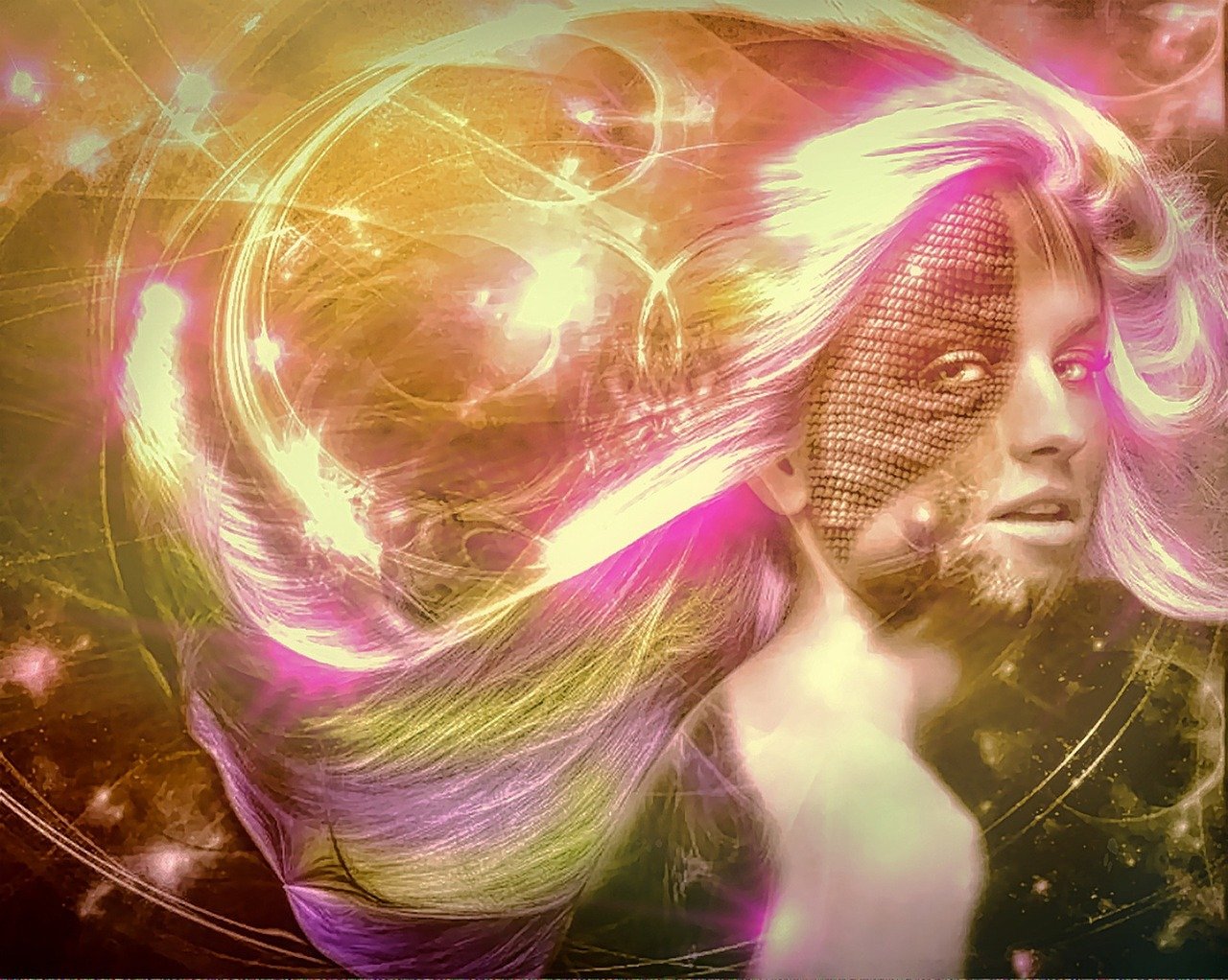 狮子明星，力量与荣耀的象征，闪耀星辰之路