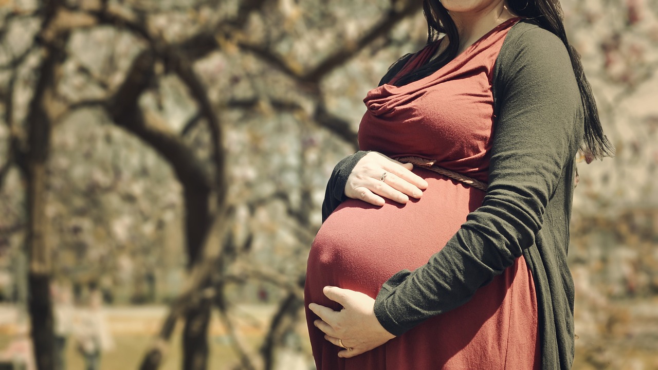 安满孕妇奶粉最新动态，引领孕期营养健康新篇章