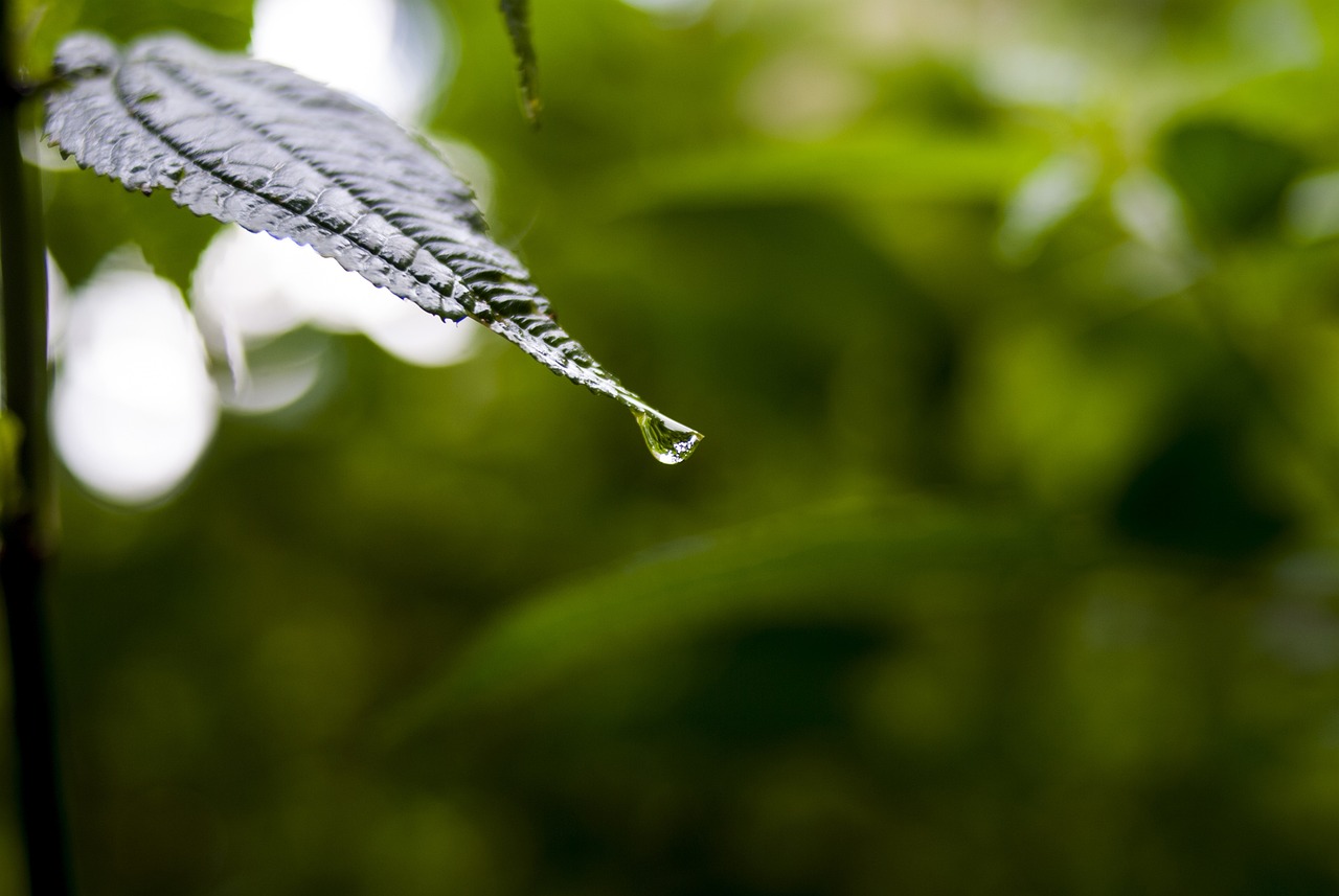 深度解析股票消息，投资策略与实时动态解析