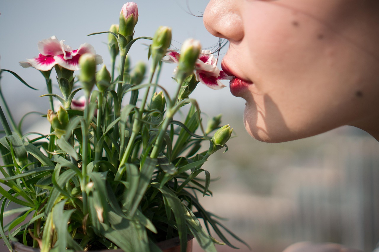 市场繁荣变迁中的行情花盛放风采