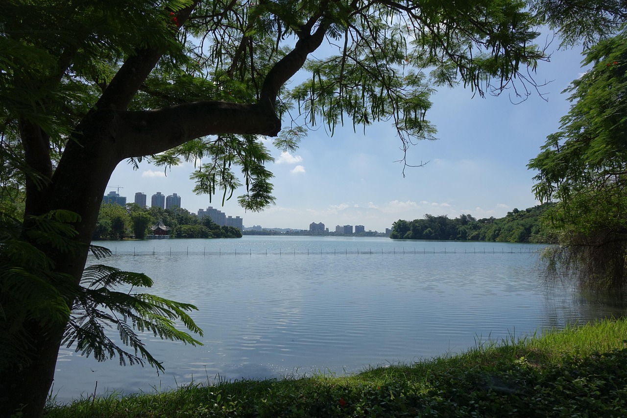 2024台湾大选最新动态，角逐各方与前景展望