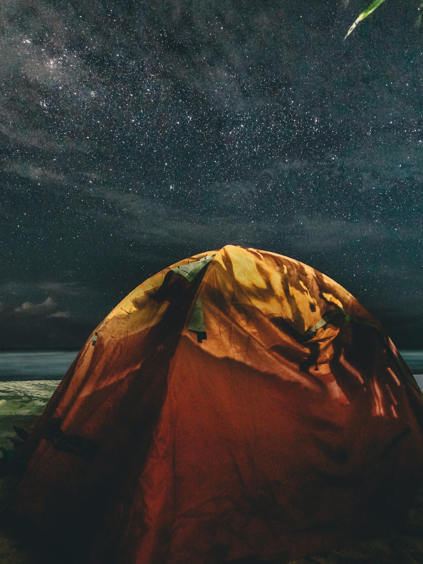荒野求生全明星，超越极限的生存挑战启动