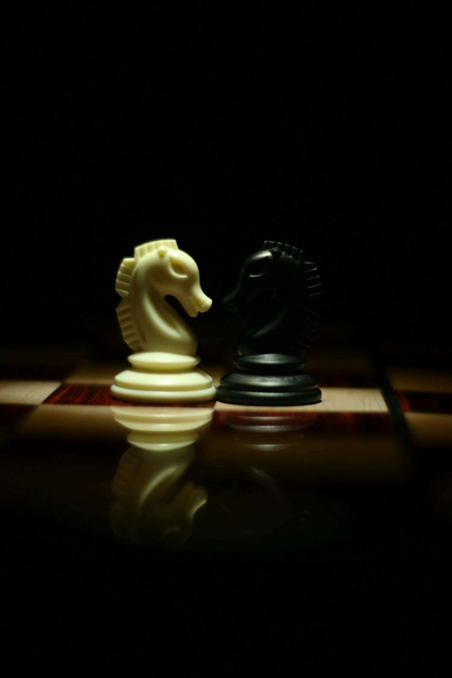 深圳市国际象棋比赛，智慧与策略的较量盛宴