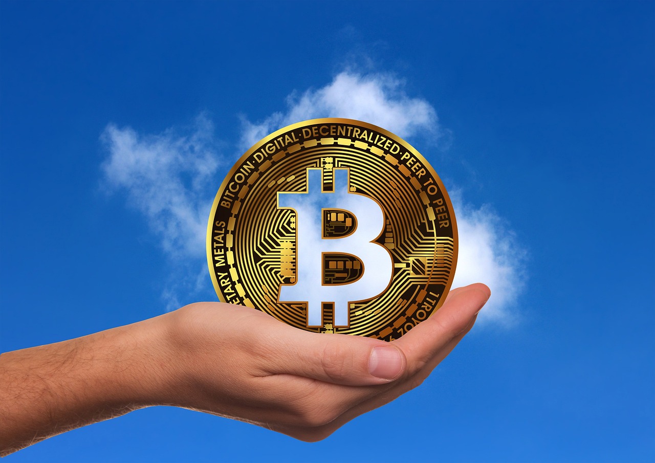 山西玉米价格行情走势深度分析，最新趋势与预测
