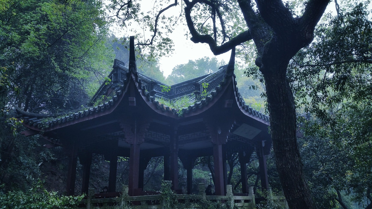 探寻古诗词比赛的节目魅力，一场诗词的盛宴