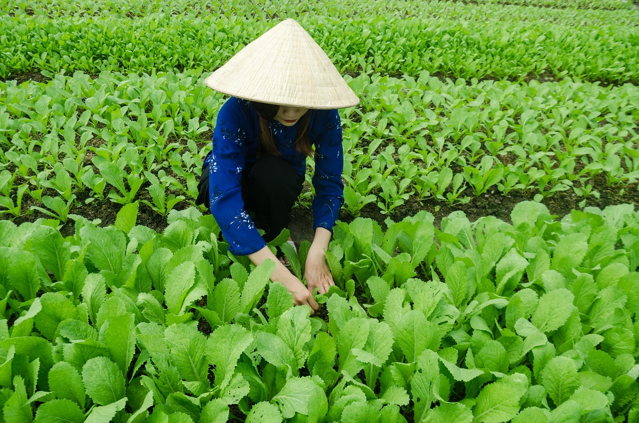 花开无言 第53页
