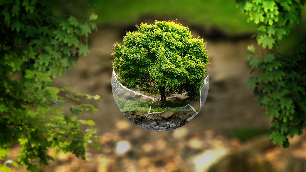 花开无言 第33页