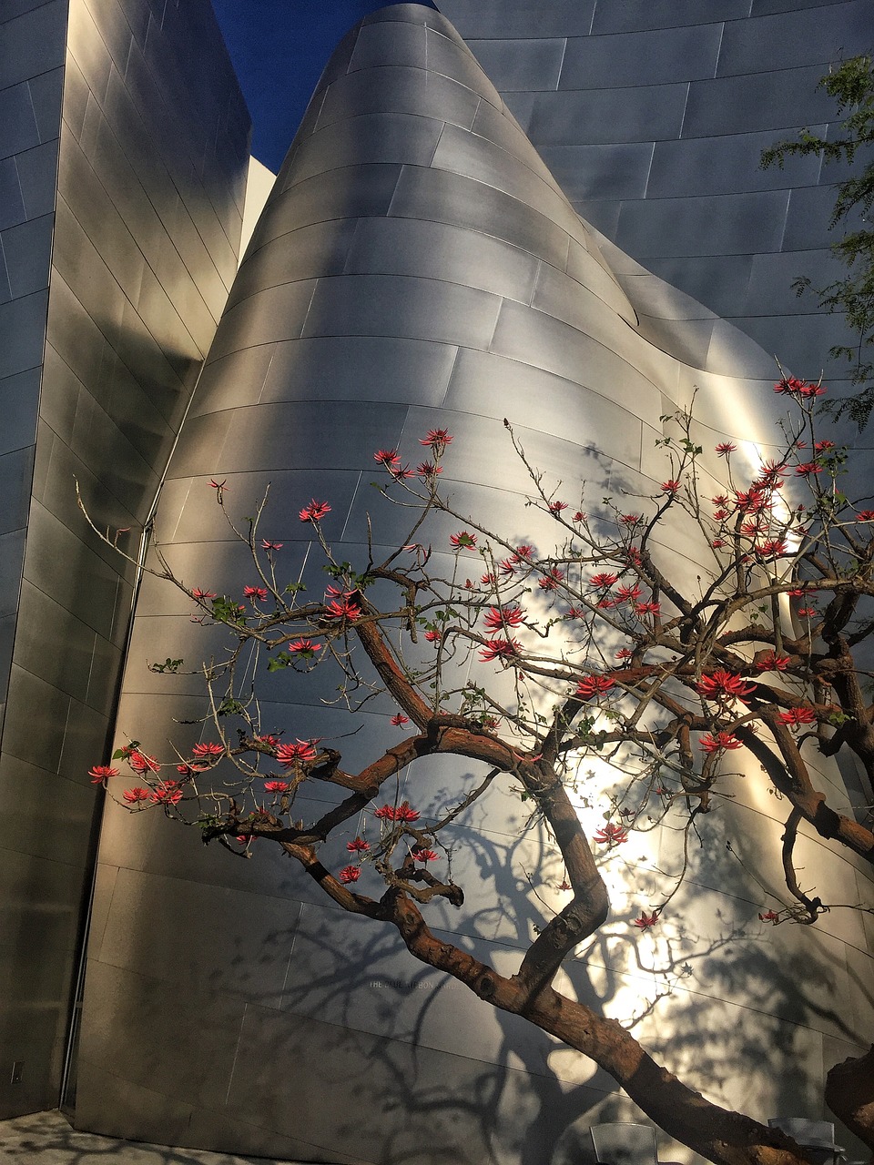 常益长高铁建设进展、最新动态与未来展望