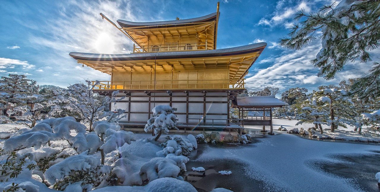 日本动漫文化的魅力与影响探索，动漫日皮之旅