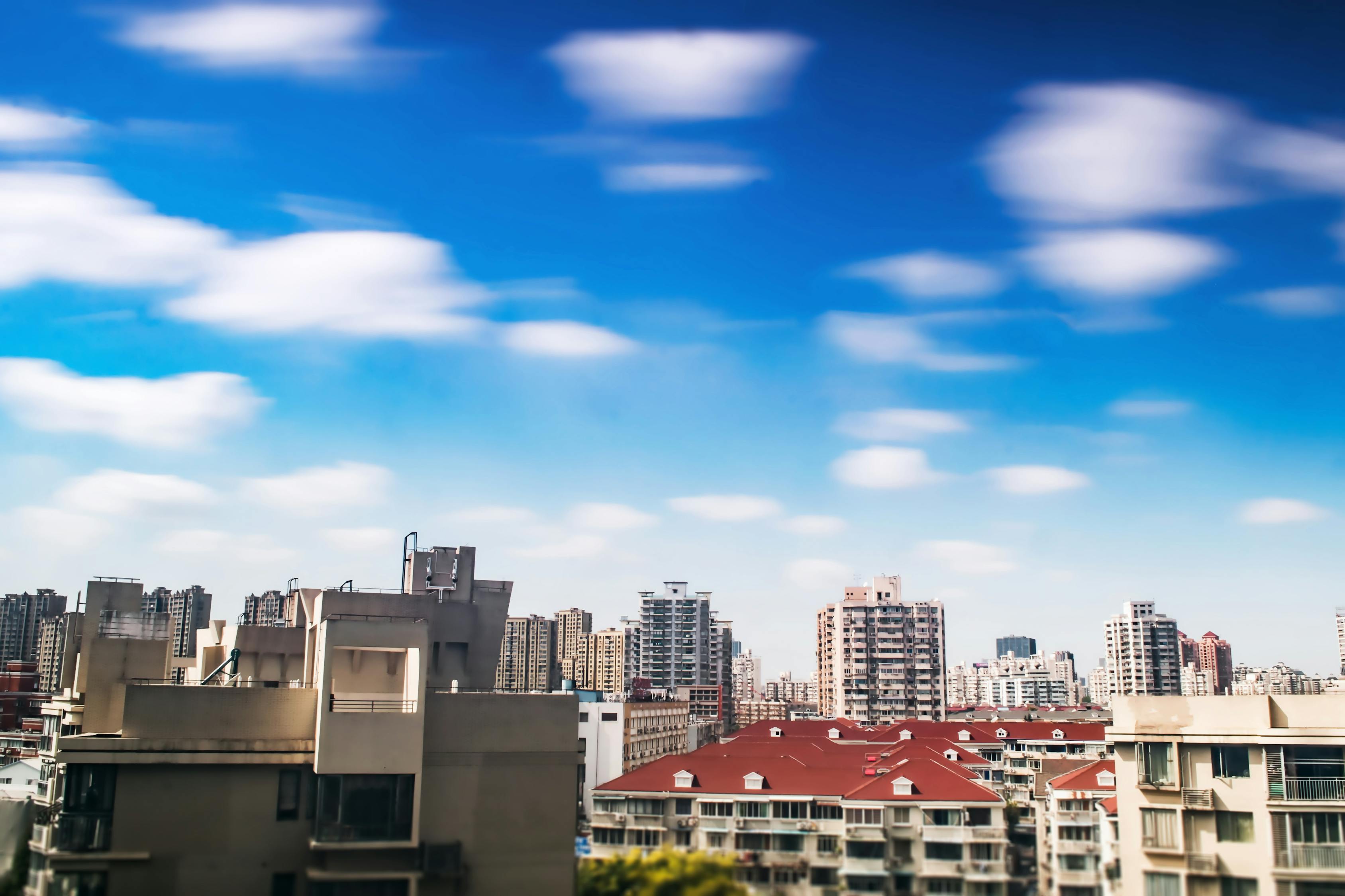 上海最新新闻事件，城市脉搏与社会关注焦点