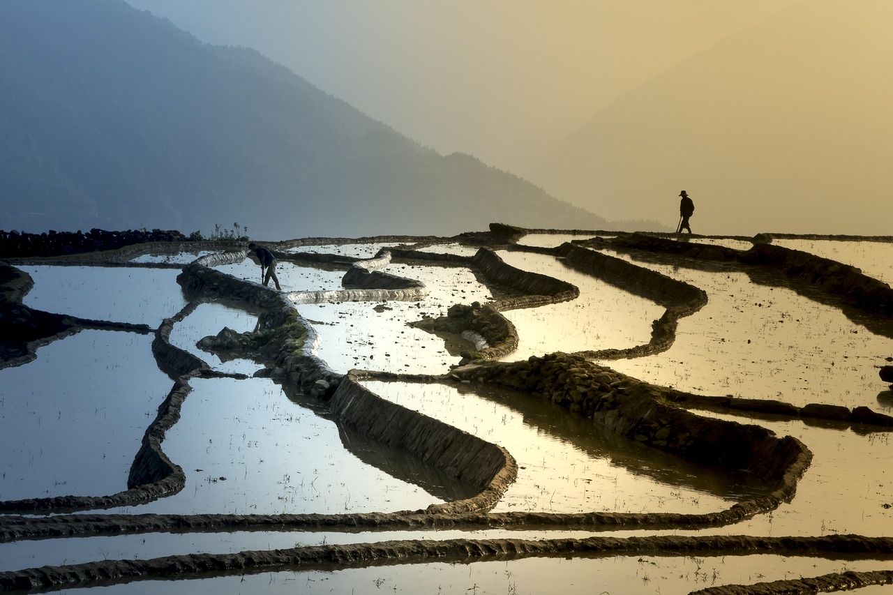 探索四月小7的最新地址，最新探索之旅启程