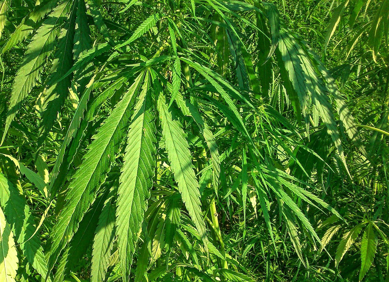 五月快递行业疫情动态解析与深度观察