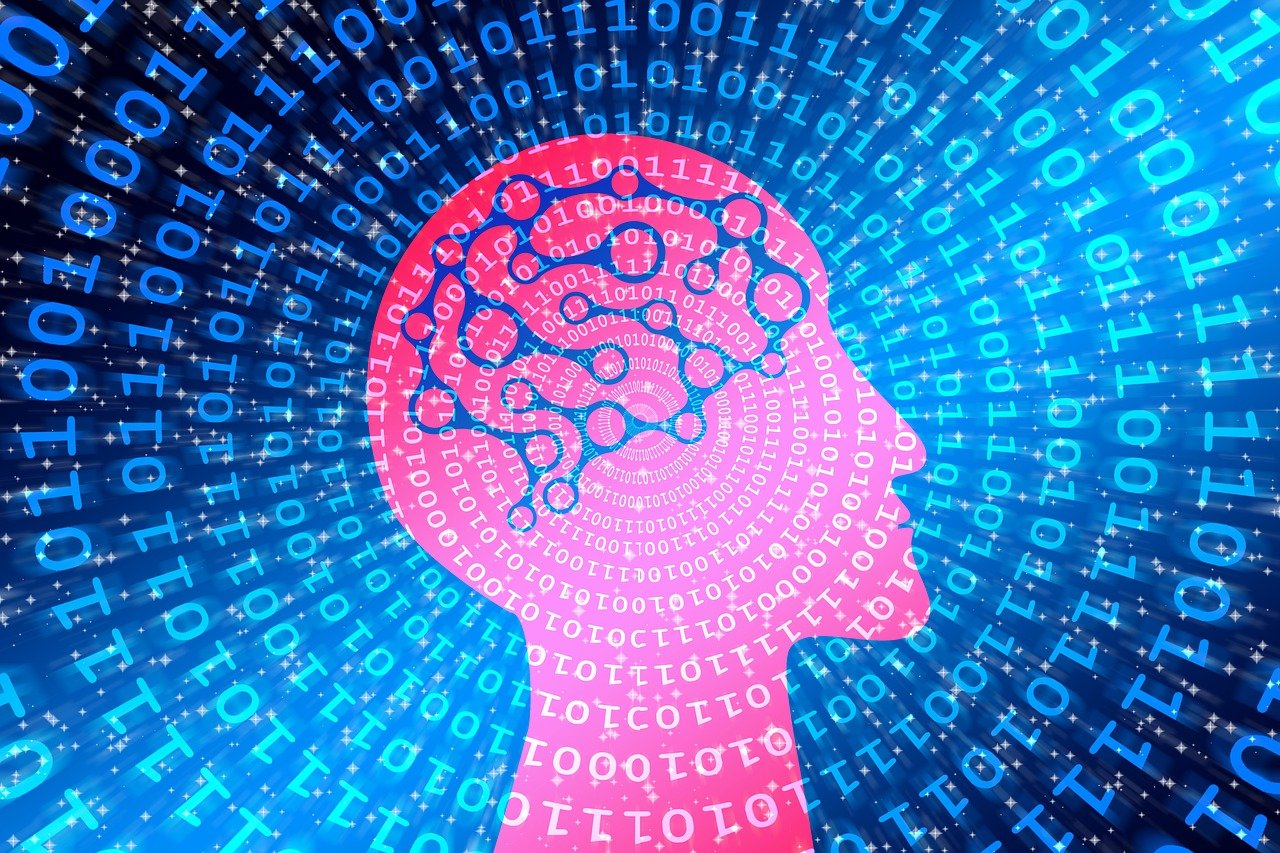 五月邂逅在线资讯，数字时代的资讯革命探索