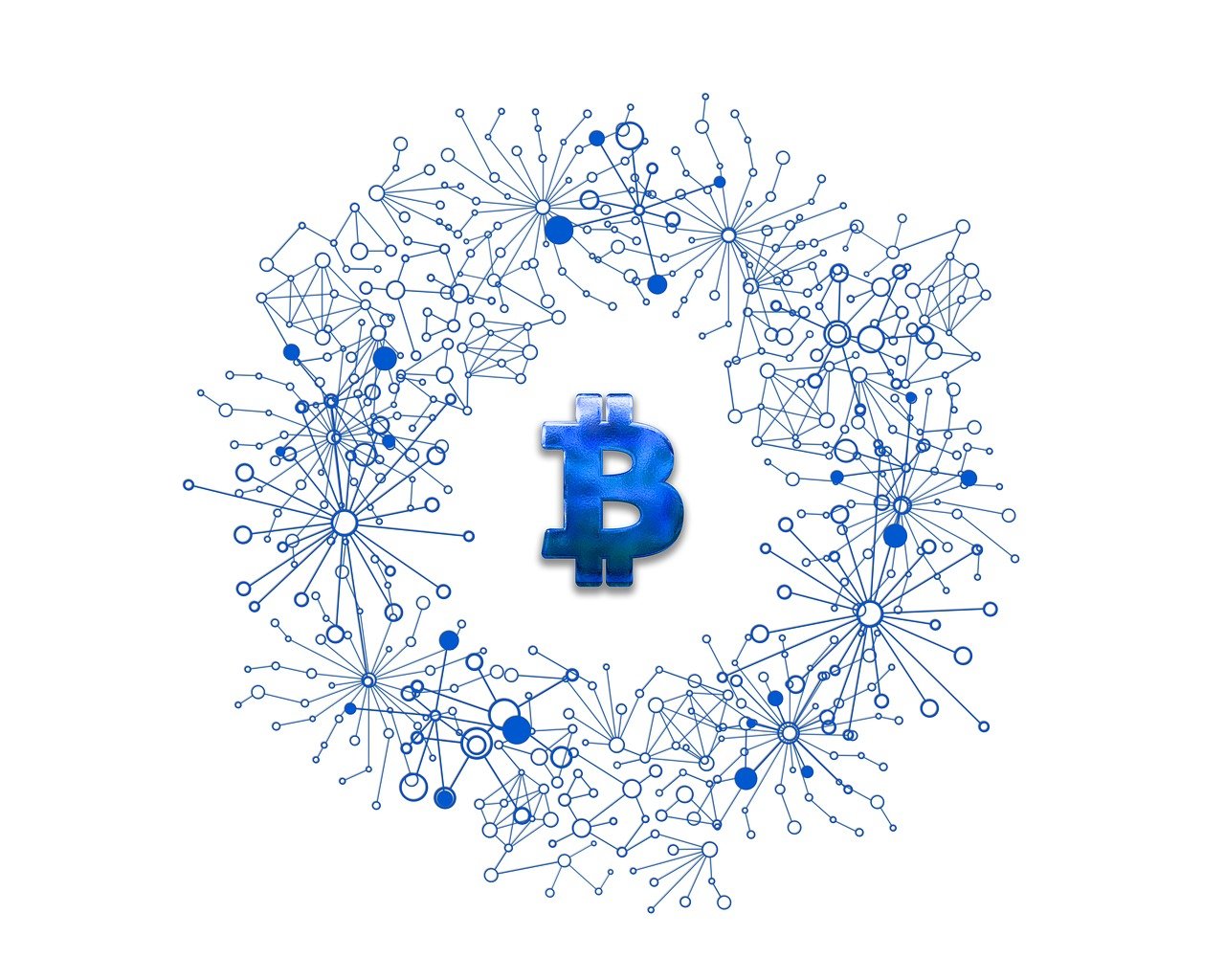 摇钱树app官方最新版，五月理财新选择，财富增值从这里开始！